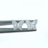 Butterfly Beads Mother Of Pearl WM-0091