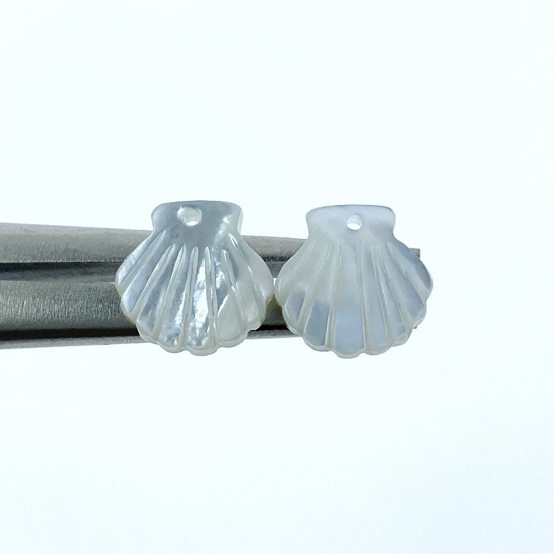 Clam Shell White Mother of Pearl WM-0192