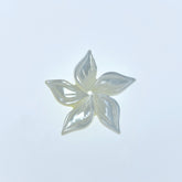 6pc 20mm Hand Carved White Mother of Pearl 5-petal Flower Beads WM-0012