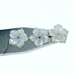 Buy Bauhinia Flower Beads White Mother Of Pearl NaturalPearlStore.com