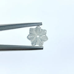 Snowflake Flower Beads White Mother Of Pearl 12mm Hand Carved WM-0203