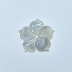 6pc 20mm Hand Carved White Mother of Pearl Bauhinia Flower Beads WM-0127