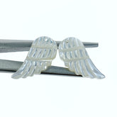Angel Wings White Mother Of Pearl WM-0032