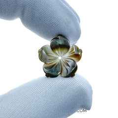 Bauhinia Flower Beads Black Mother Of Pearl NaturalPearlStore.com