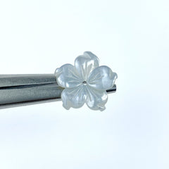 Buy Bauhinia Flower Beads Mother Of Pearl At BestBeadSupply.com