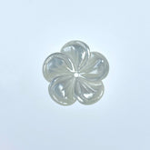Buy Topical Flower White Mother Of Pearl BestBeadSupply.com