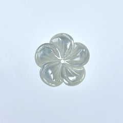 Buy Topical Flower White Mother Of Pearl BestBeadSupply.com