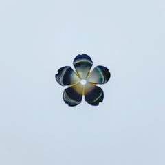 Sakura Flower BM-0051