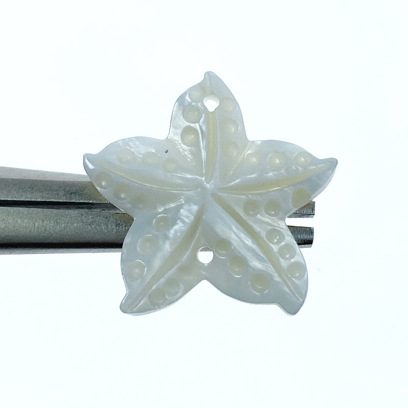 Starfish Beads Mother Of Pearl FWM-0002