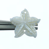 Starfish Beads Mother Of Pearl FWM-0002