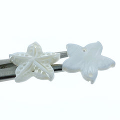 Starfish Beads Mother Of Pearl FWM-0002