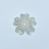 A single hand-carved white mother of pearl 5-petal flower bead on a white background.