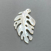 2pc Monstera Leaf Beads White Mother of Pearl WM-0139