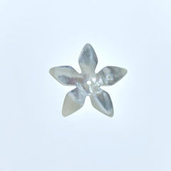 6pc 18mm Hand Carved White Mother of Pearl 5-petal Flower Beads WM-0021