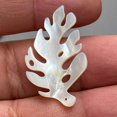 2pc Monstera Leaf Beads White Mother of Pearl WM-0139