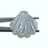 6pc 24mm x 25mm Hand Carved White Mother of Pearl Clam Shape Pendants