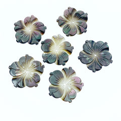 6pc 20mm Hand Carved Black Mother of Pearl Bauhinia Flower Beads BM-0075