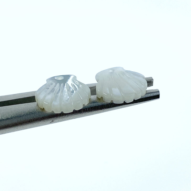 Clam Shell White Mother of Pearl WM-0192