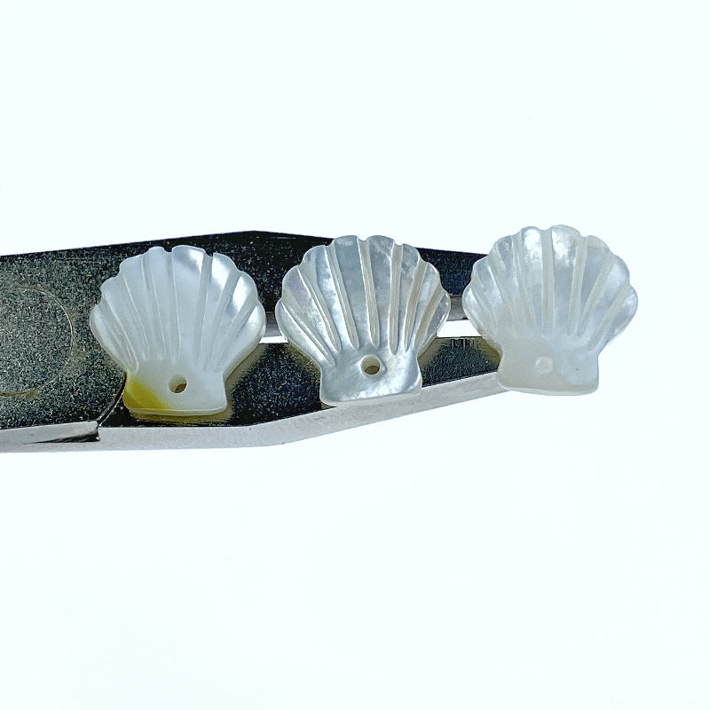 Clam Shell White Mother of Pearl WM-0192