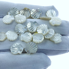 Clam Shell White Mother of Pearl WM-0192