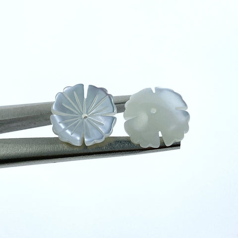 10pc Tropical Flower Beads White Mother Of Pearl 12mm Hand Carved WM-0024