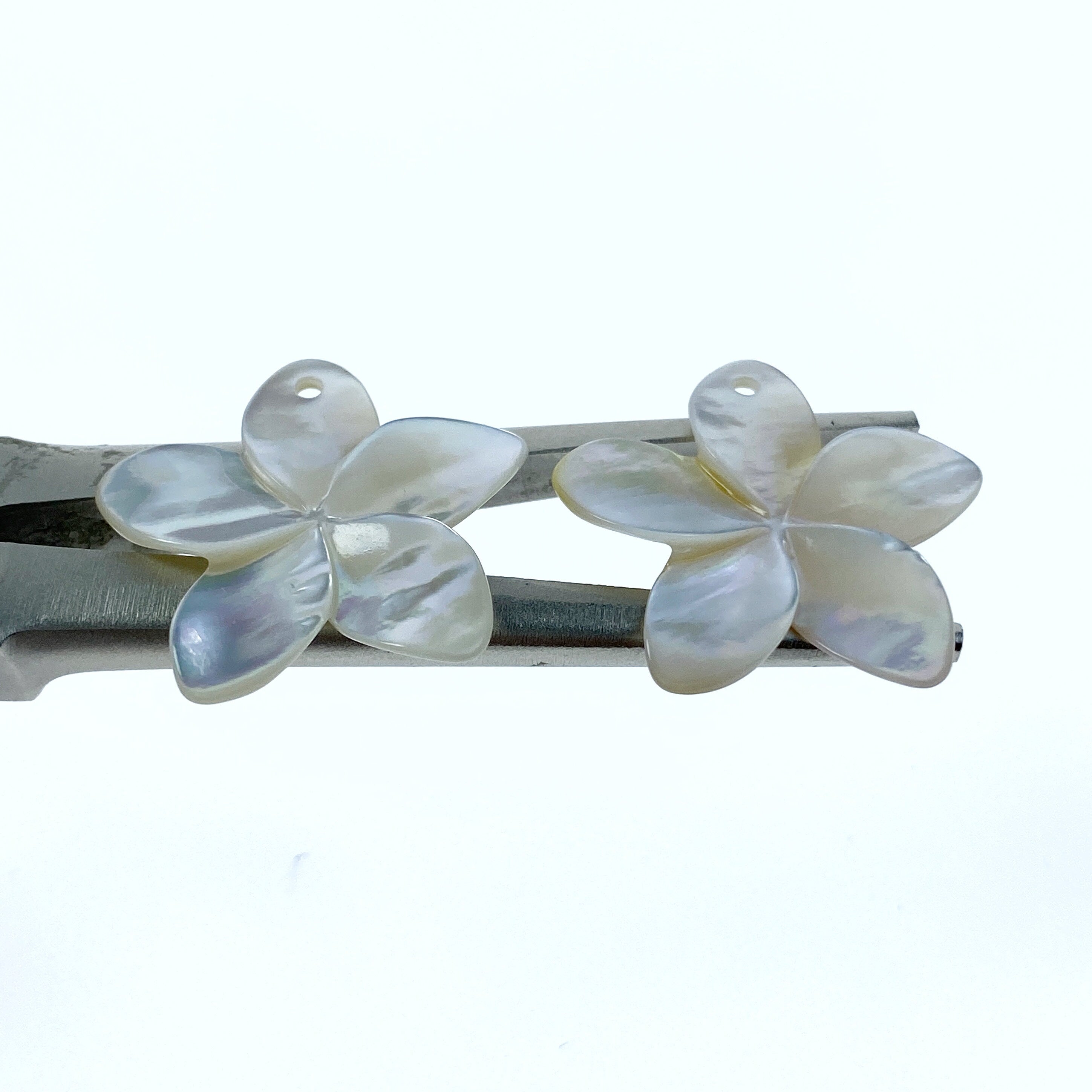 6pc Plumeria Flower Mother Of Pearl Beads 25mm Pendants Bridal Earrings Jewelry Making Tropical Hawaii Minimalist Design Hand Carved WM-0196