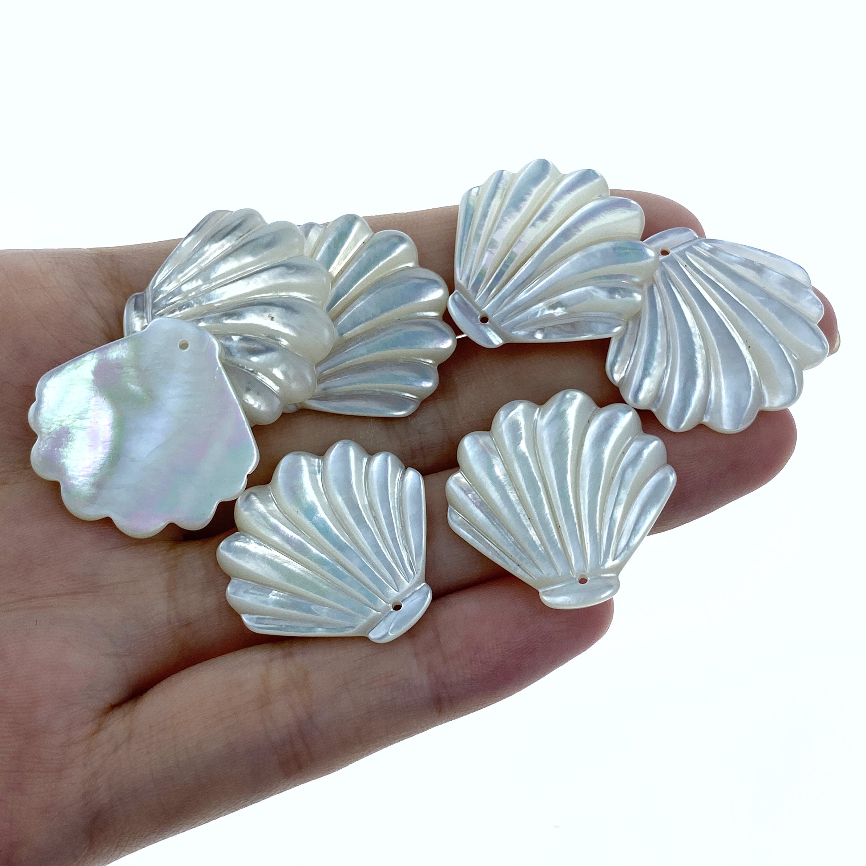 6pc 24mm x 25mm Hand Carved White Mother of Pearl Clam Shape Pendants