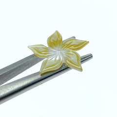 6pc 20mm Hand Carved Yellow Mother of Pearl 5-petal Flower Beads YM-0014