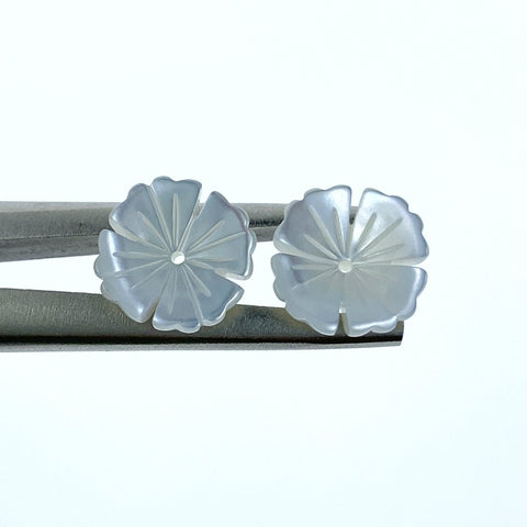 10pc Tropical Flower Beads White Mother Of Pearl 12mm Hand Carved WM-0024