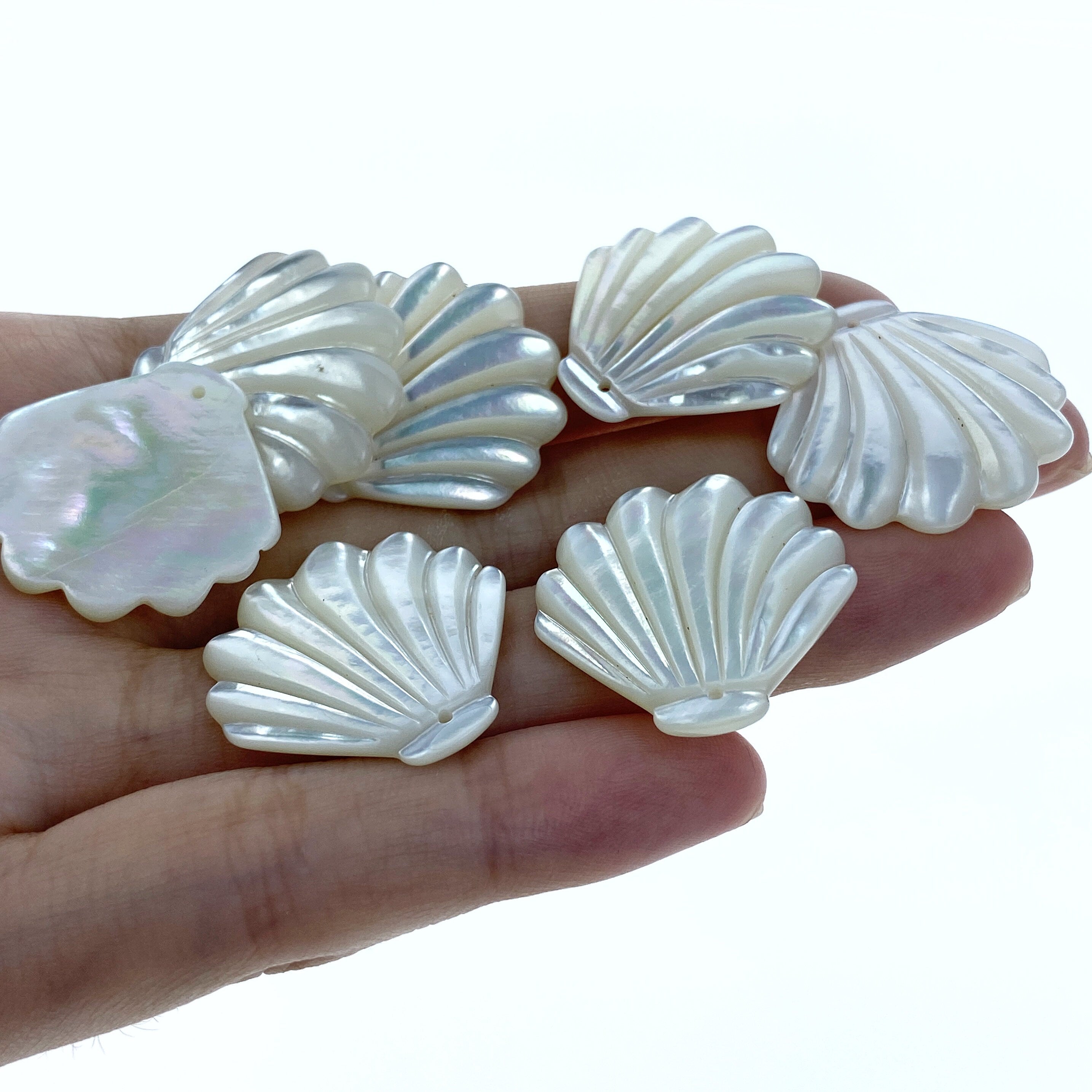 6pc 24mm x 25mm Hand Carved White Mother of Pearl Clam Shape Pendants