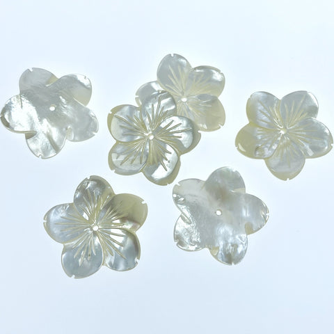 6pc 25mm Hand Carved White Mother of Pearl 5-petal Flower Beads WM-0162