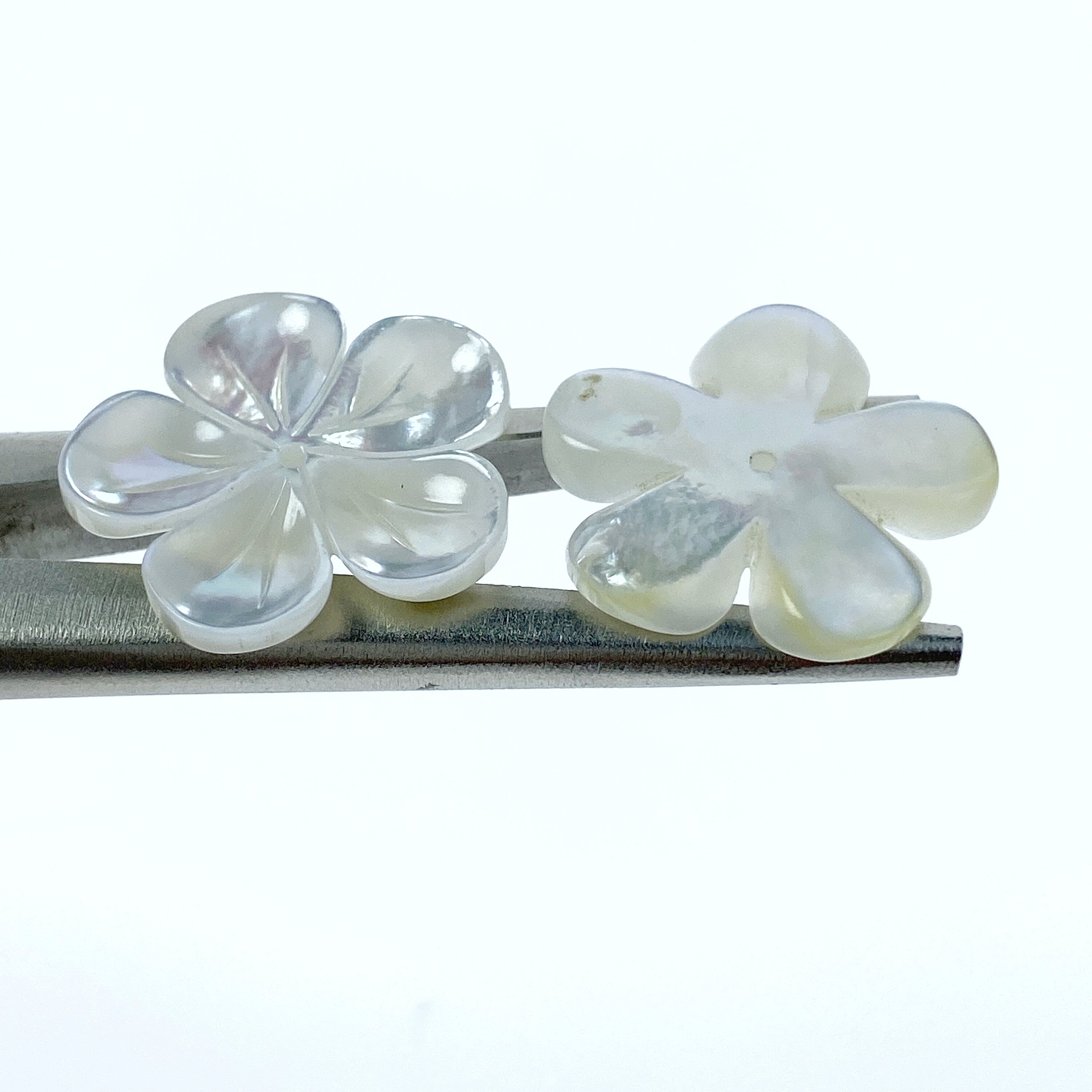 6pc 20mm Hand Carved White Mother of Pearl 5-petal Flower Beads WM-0156