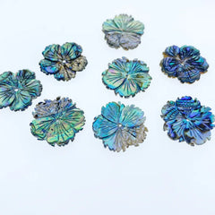 Set of colorful shell flower designs on a light blue background