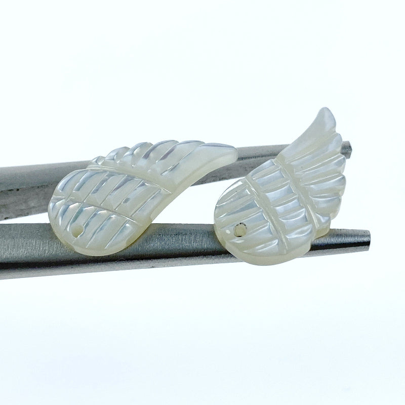 Angel Wings White Mother Of Pearl WM-0032