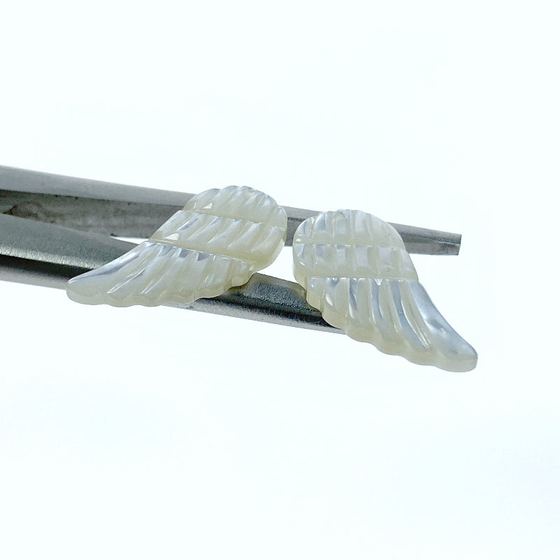 Angel Wings White Mother Of Pearl WM-0032