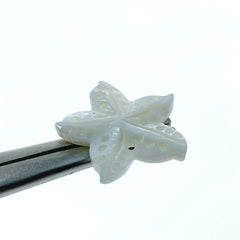Starfish Beads Mother Of Pearl FWM-0002