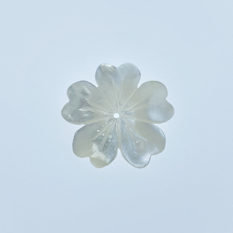 A single hand-carved white mother of pearl 5-petal flower bead on a white background.