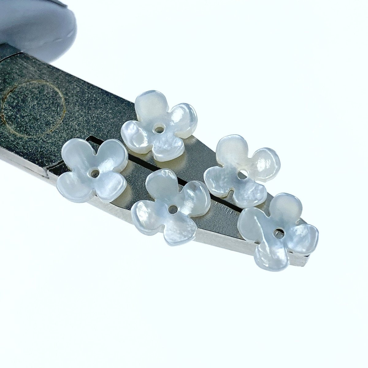 10pc Flower Beads White Mother Of Pearl 8mm 4 Petal Flower WM-0204